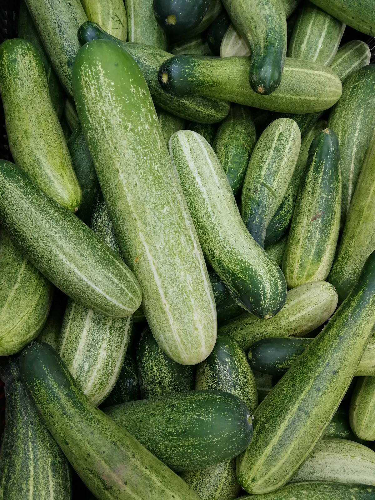 Cucumbers