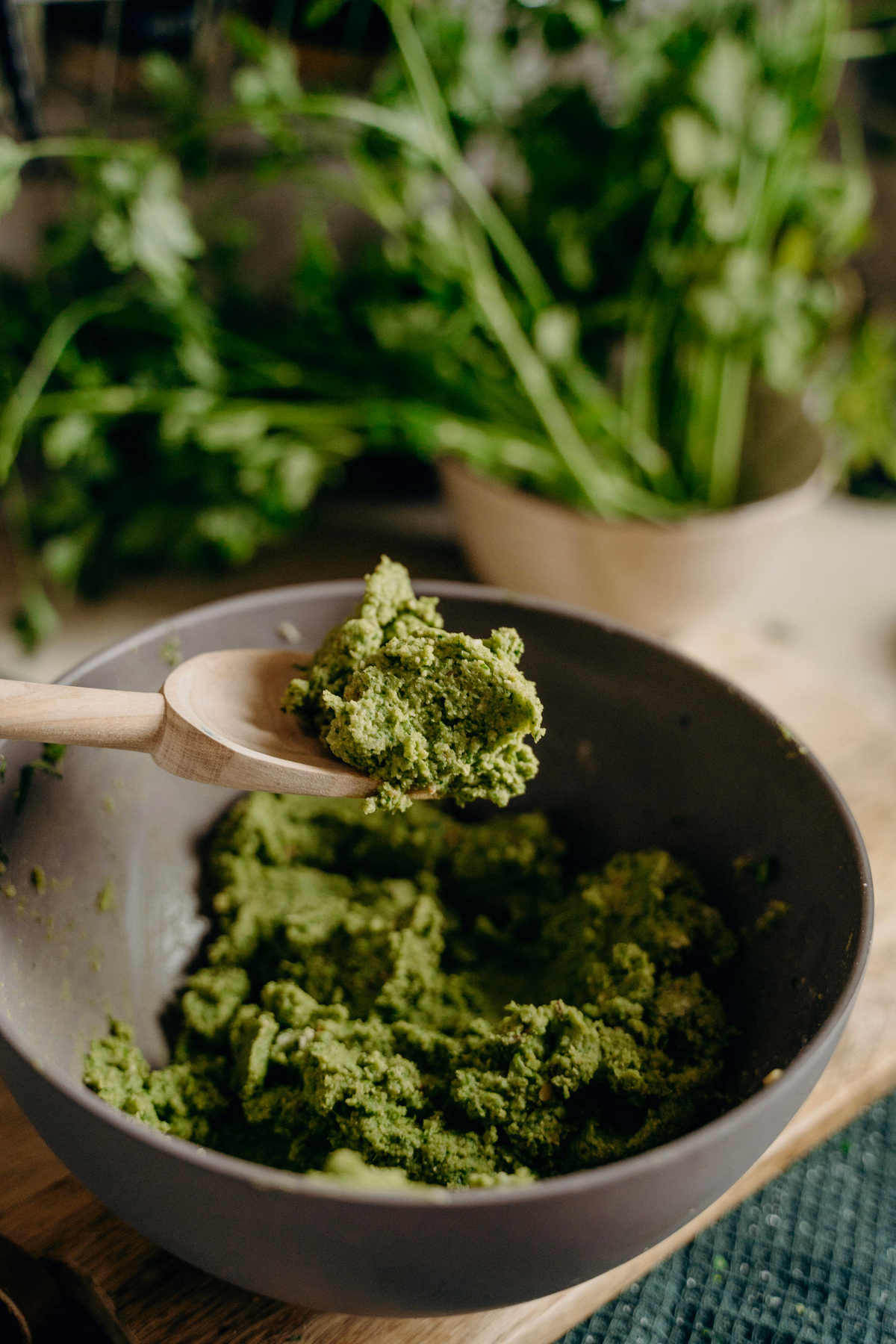 Cilantro Pesto with Pumpkin Seeds