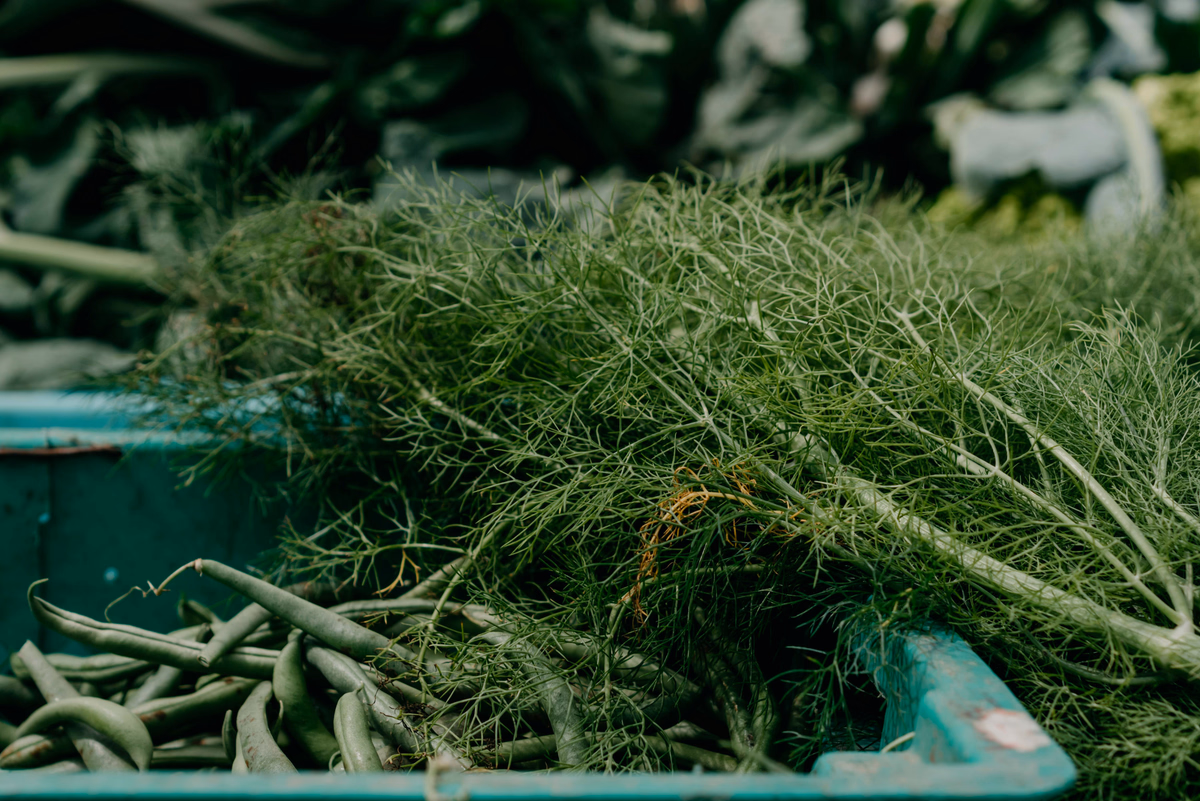 Fennel Green Beans