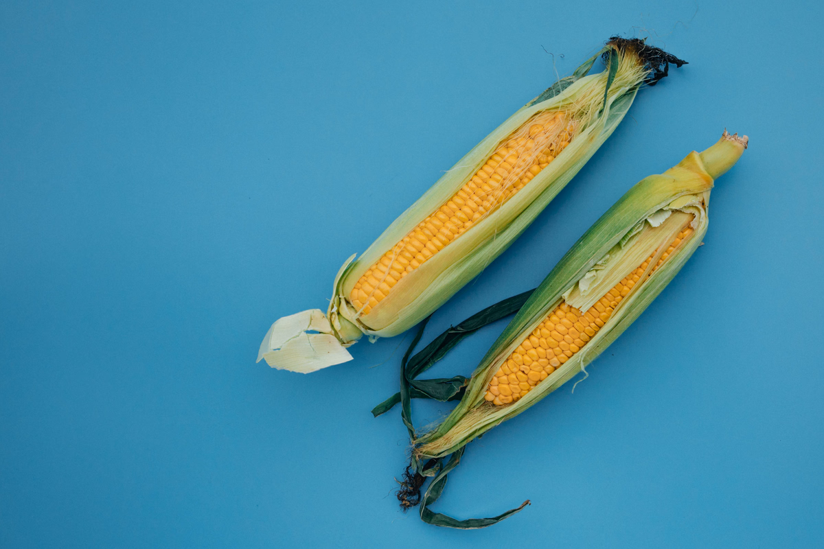Healthy Creamed Corn