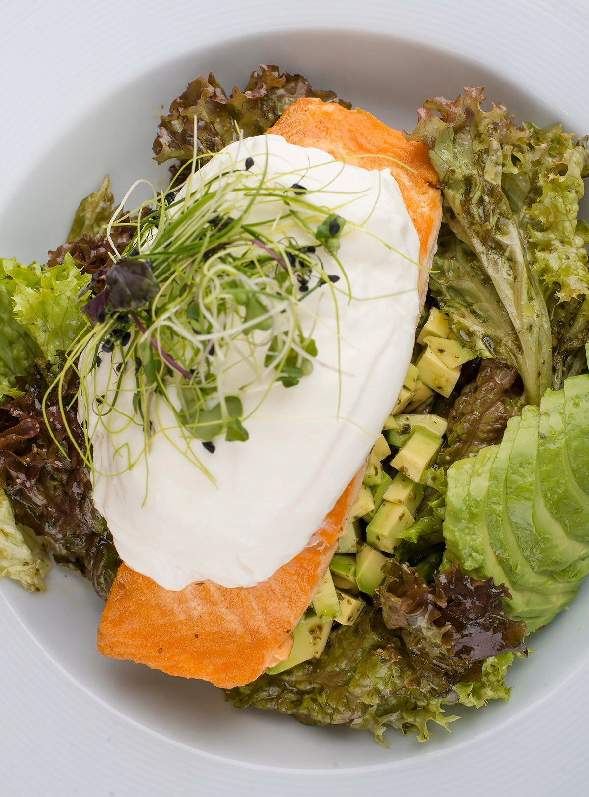 Omega-3 Rich Salmon and Avocado Salad